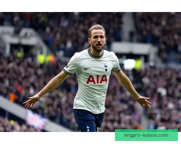 哈里·凯恩肩伤恢复状态持续关注，球队前景面临挑战