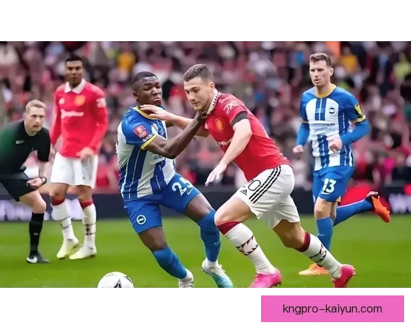 布莱顿未来规划值得关注，球队在阵容与战术策略上持续提升。